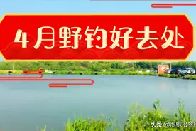 武汉郊外这里被誉为：汉口野钓大军集合地！先收藏起来吧。视频封面