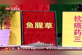 养生堂：跟专家了解了解鱼腥草的功效视频封面