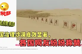 我国治理沙漠成效显著，各国网友纷纷称赞！视频封面