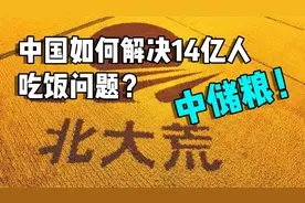 中国如何解决14亿人的吃饭问题？中央储备粮够大家吃一年了视频封面