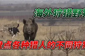 狩猎野猪到底有多少种方式你知道吗？盘点各种猎人的精彩狩猎集锦视频封面