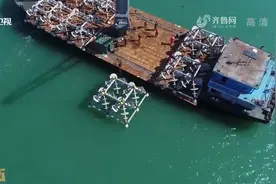 成效显著！山东建设海洋牧场7.9万公顷，综合经济收入超2500亿元视频封面