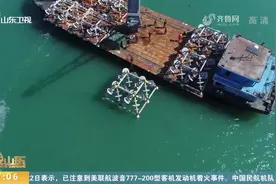 成效显著！山东建设海洋牧场7.9万公顷，综合经济收入超2500亿元视频封面