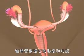为什么做了输卵管疏通术后，还是不能自然怀孕？医生道出了实情视频封面