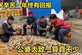 农民辛苦一年终有回报，公婆大致一算真不少，全家越说越高兴视频封面