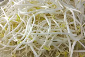 你喜欢吃绿豆芽吗？这两种豆芽再便宜也不要买，早点告诉家里人视频封面