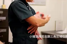 为什么养猪新手一打针猪就流血起脓包，记住这几点你也是打针高手视频封面