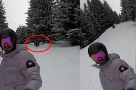 惊险！巴西一男子在法国滑雪时被熊追赶，回看视频令人后怕视频封面