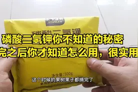 磷酸二氢钾你不知道的秘密，看完之后你才真正知道怎么用，很实用视频封面