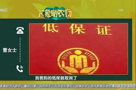 出嫁女儿有房为啥取消父母低保视频封面