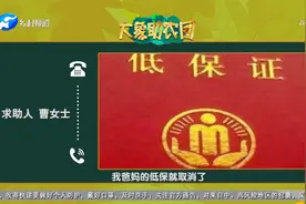 出嫁女儿有房为啥取消父母低保视频封面