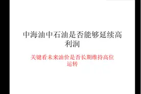 中石油中海油未来的投资价值视频封面