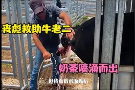 夜宵时间到 请你女朋友喝杯奶茶视频封面