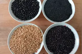 三黑粥营养美味，但煮起来麻烦，这样做，方便简单，节省时间