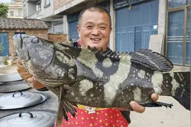 460元买条9.4斤石斑鱼，不刮鳞不剖肚做盐焗鱼，掀开鱼皮太香了！视频封面