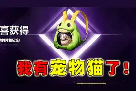 真开心！在和平精英喜提宠物猫一只，我给它取名叫橘子！