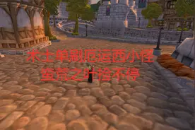 魔兽世界怀旧服术士单刷厄运西小怪，蛮荒之叶捡不停视频封面