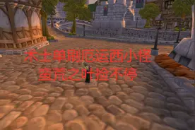 魔兽世界怀旧服术士单刷厄运西小怪，蛮荒之叶捡不停视频封面