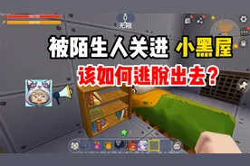 迷你世界：风鸢不料被关进小黑屋，机智的他能否逃出，一起来看吧视频封面