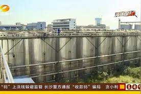 长沙：揭秘酱油生产车间！走进酱油厂内部，见证酱油生产的全过程视频封面