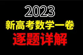 北大学长逐题讲评2023新高考一卷数学视频封面