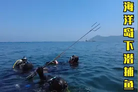 大连海洋岛下潜捕鱼，这里的水下资源也太丰富了！看的意犹未尽！视频封面