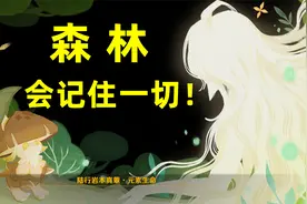 板娘小薇：3.6纳西妲传说任务解析，这个世上还有人记得大慈树王