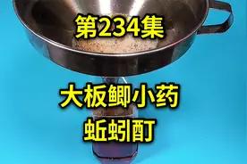 专钓大鲫鱼的小药竟然是用蚯蚓做出来的，老师傅喝多了捅破窗户纸视频封面