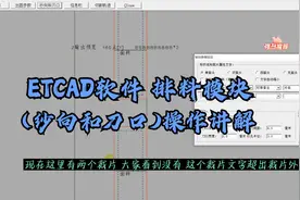 ETCAD软件 排料模块(纱向和刀口) 操作讲解 操作简单 看完就会