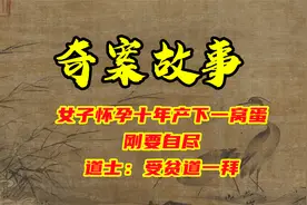 奇案故事：女子怀孕十年产下一窝蛋，刚要自尽，道士：受贫道一拜视频封面