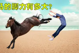 马儿的脚力有多大呢？盘点马儿脚力爆发的3个瞬间，真是太可怕了视频封面