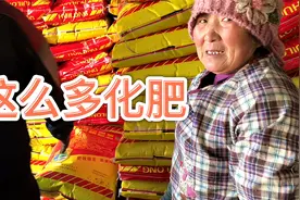 买的化肥到了，装卸工把化肥卸得像一堆小山，听说今年化肥涨价了视频封面
