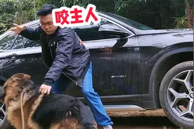 如何正确打狗？德牧犬失控差点咬主人