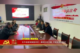 泰安党建丨东平县新湖镇侯河村：赓续红色力量 打造美丽移民村视频封面