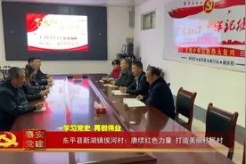 泰安党建丨东平县新湖镇侯河村：赓续红色力量 打造美丽移民村视频封面