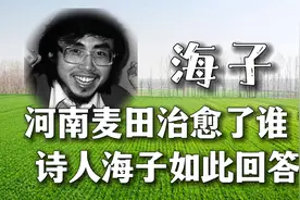 河南麦田治愈了谁？诗人海子如此回答视频封面