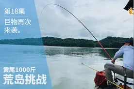 2斤的野生鲫鱼不算大？钓友说有4斤的，有没有试试才知道