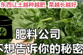6种免费资源让菜园土越种越肥, 菜越长越好视频封面