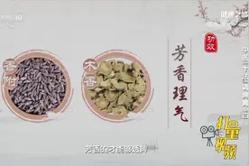 调解脾胃功能，缓解脾滞，中医专家来支招，分享方法|健康之路视频封面