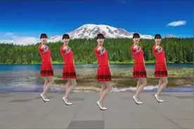 精选入门广场舞《花开的时你就来看我》简单32步，一学即会！