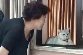 父母们终究逃不过真香定律！宠物：你只管带我回去，剩下的交给我视频封面