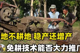 免耕法：阿根廷和美国都在用，产量不降反增，我国能大力推广吗？视频封面