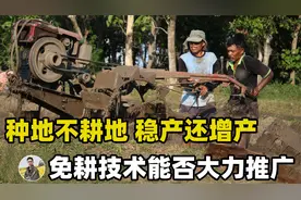 免耕法：阿根廷和美国都在用，产量不降反增，我国能大力推广吗？视频封面