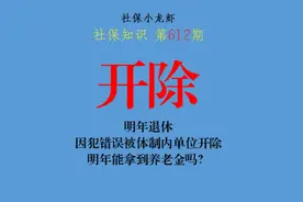 明年退休，因犯错误被体制内单位开除，明年能拿到养老金吗视频封面