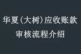 大树普惠审核多久？初审过了终审会过吗？企业发票贷教学讲解！视频封面