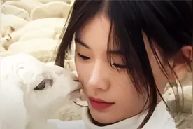 放羊女瞬间走红引一系列闹剧 家人欺凌出轨经纪人账号被更名易主视频封面