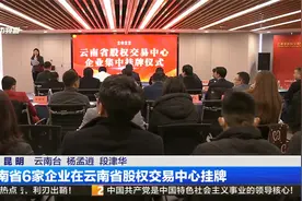 云南省6家企业在云南省股权交易中心挂牌视频封面