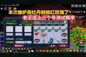 梦幻西游：本次维护后牡丹能换红玫瑰了，老王连上三个号测试概率