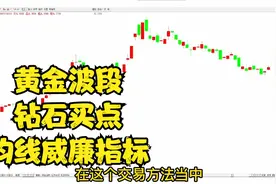 黄金波段，钻石买点，均线威廉指标视频封面