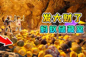 地面生存联机16：找到蚂蚁的储藏室，满洞穴都是食物，发财了！